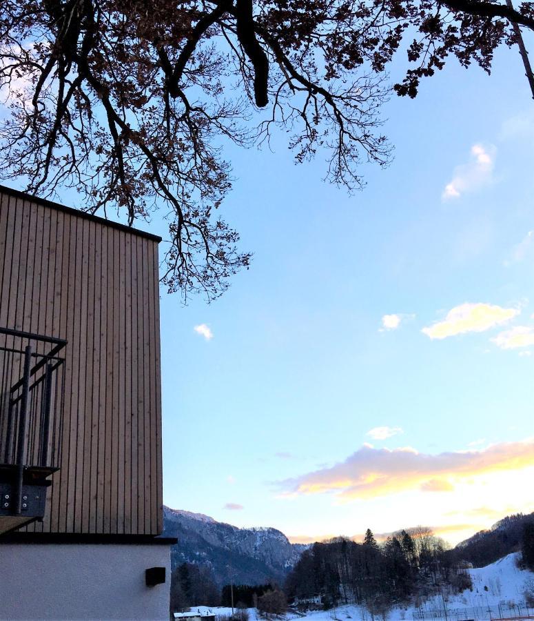Appartamento Kampenzeit Loft Mit Traumhaftem Panoramablick Aschau im Chiemgau Esterno foto