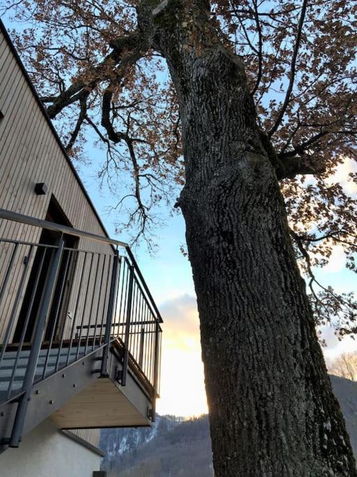Appartamento Kampenzeit Loft Mit Traumhaftem Panoramablick Aschau im Chiemgau Esterno foto